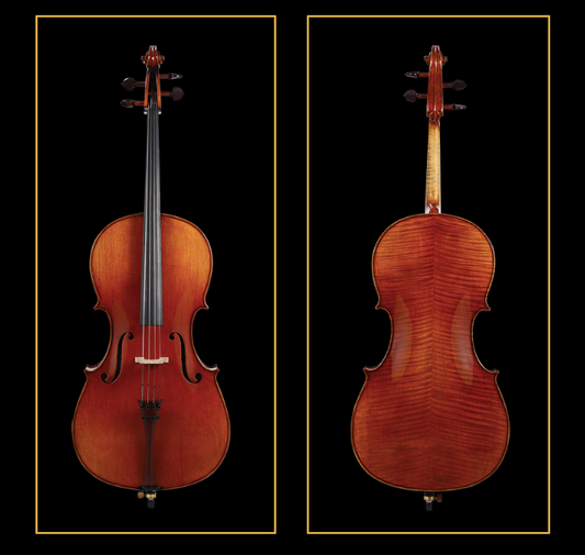 SCHELLER - SC88