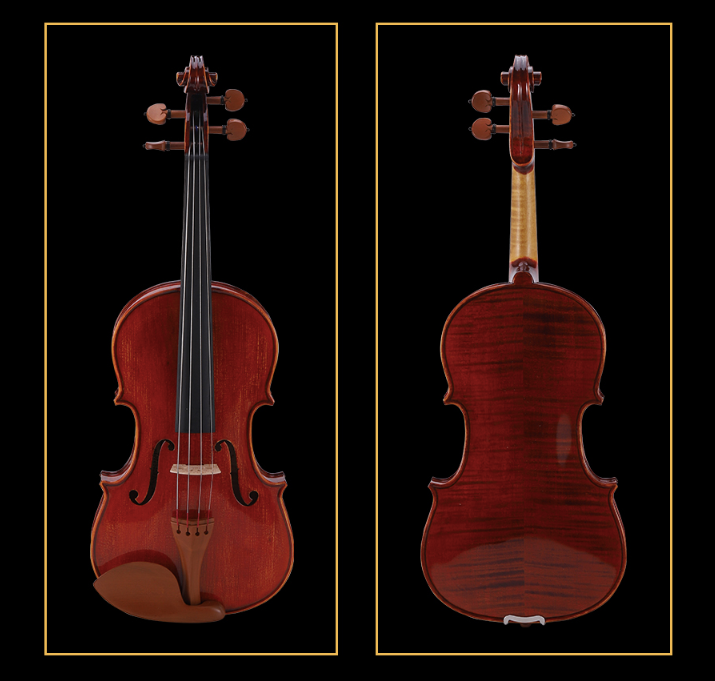 SCHELLER - SVA31
