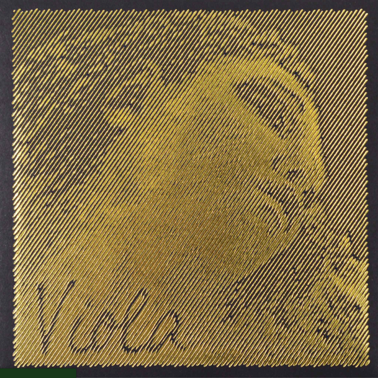 Pirastro Evah Pirazzi Gold Viola String Set