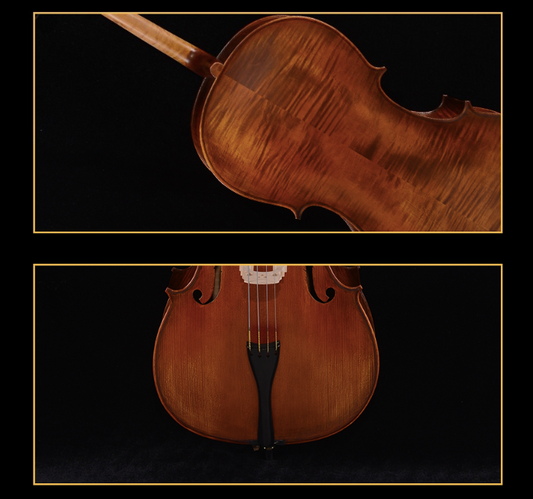 SCHELLER - SC11