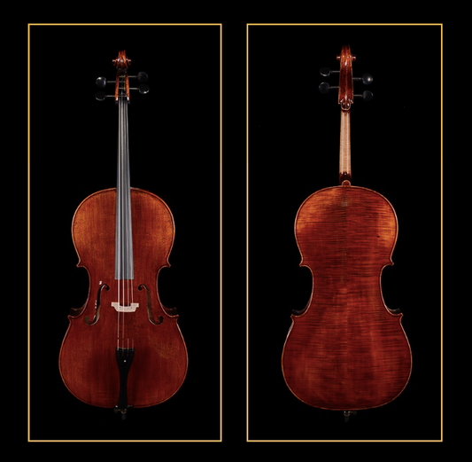 SCHELLER - SC51