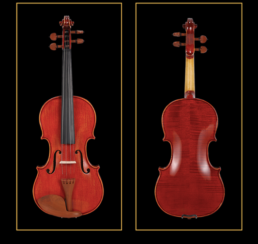 SCHELLER - SV31