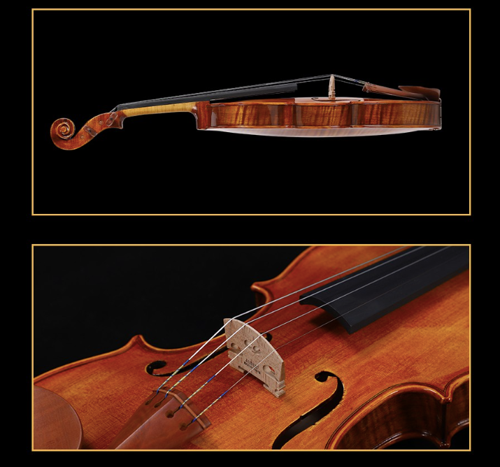 SCHELLER - SV33