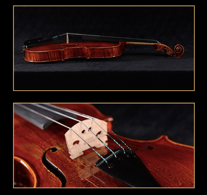 SCHELLER - SV35