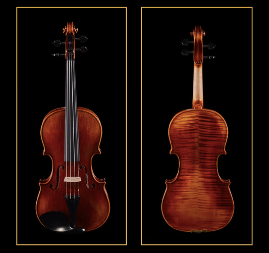 SCHELLER  - SV51