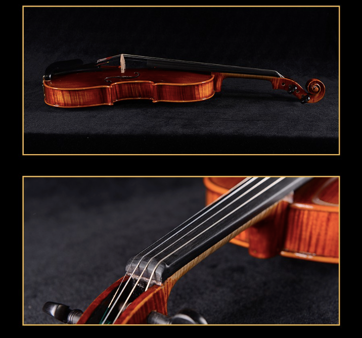 SCHELLER  - SV51