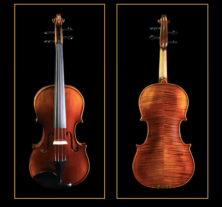 SCHELLER  - SV53