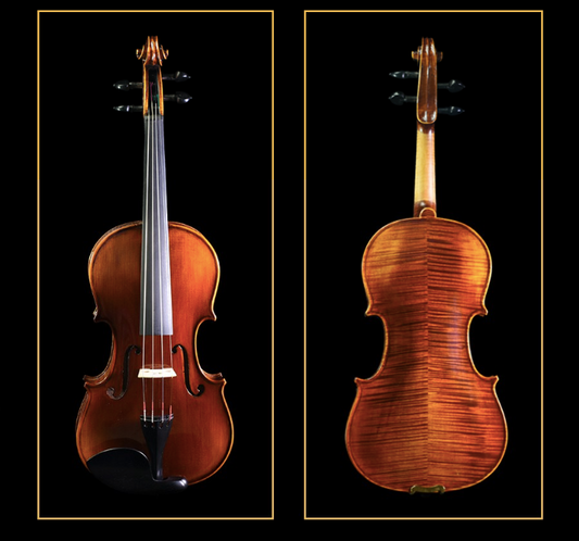 SCHELLER  - SV53