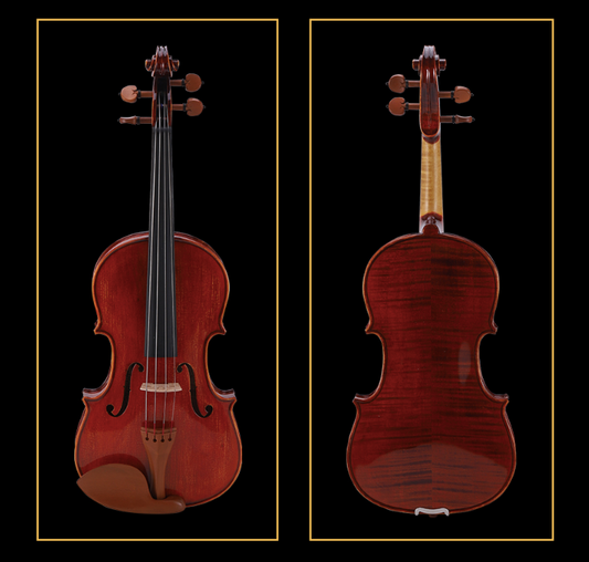 SCHELLER - SVA31